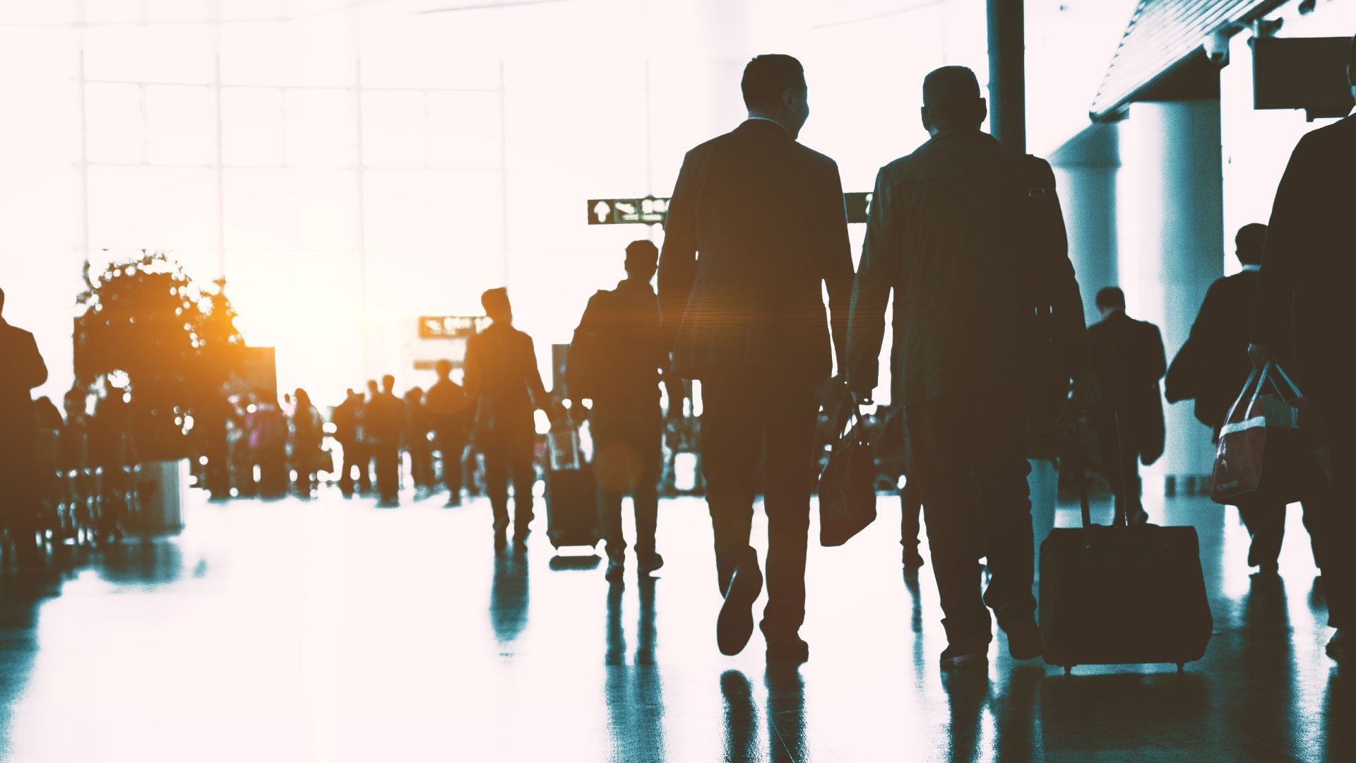 GetTransfer sees passenger numbers return to pre-pandemic levels